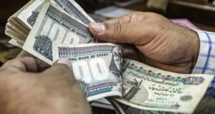 البنك الأهلي المصري يعلن عن أحدث شهادات الادخار بعوائد تنافسية لعام 2025