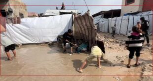 يسلط الضوء على تصاعد الأزمات في غزة وتصريحات واشنطن وطهران