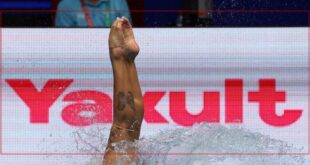 يرفض الاتحاد الدولي إقامة مونديال الغطس في المكسيك لأسباب أمنية